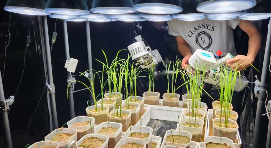 2311-1